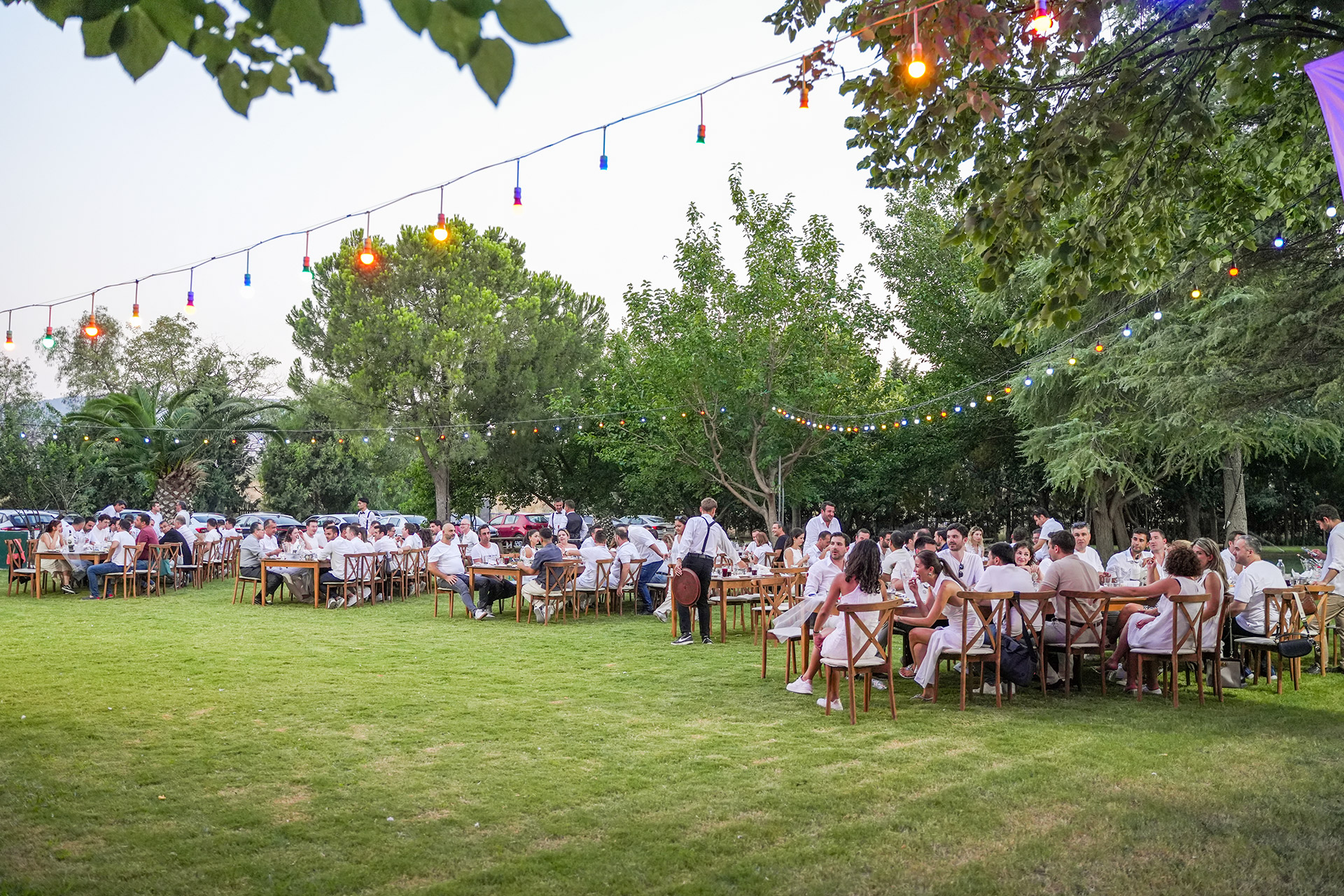 Catering Firmaları