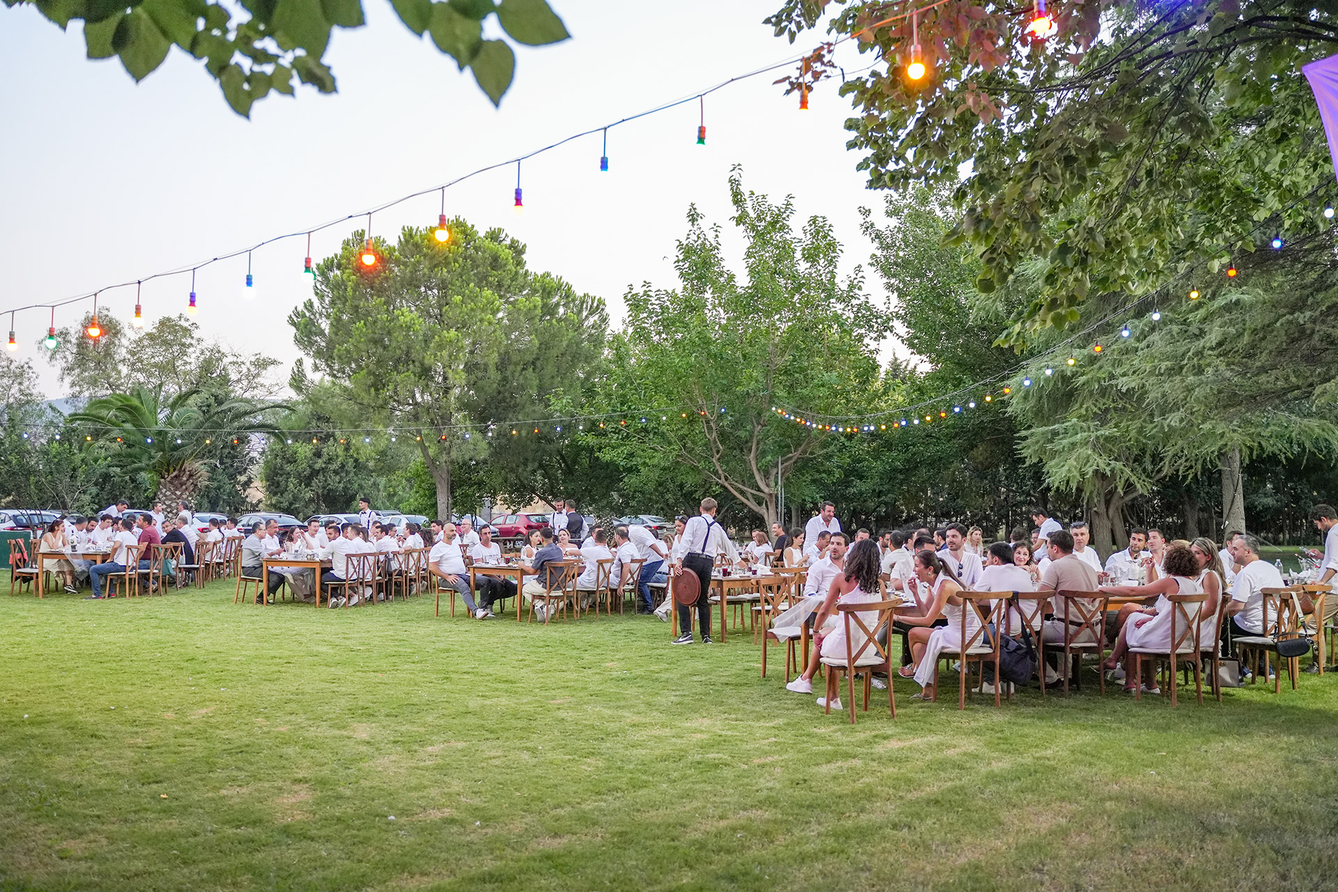 Kurumsal Organizasyon